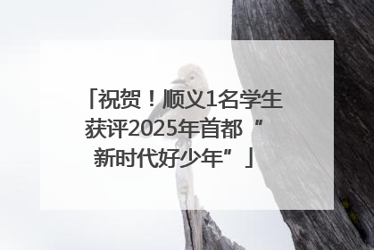 祝贺！顺义1名学生获评2025年首都“新时代好少年”