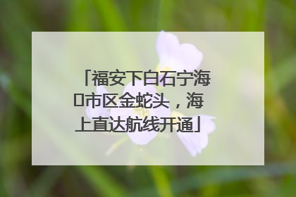 福安下白石宁海⇆市区金蛇头，海上直达航线开通