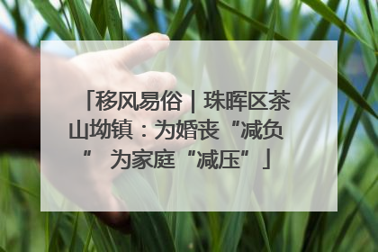 移风易俗｜珠晖区茶山坳镇：为婚丧“减负” 为家庭“减压”