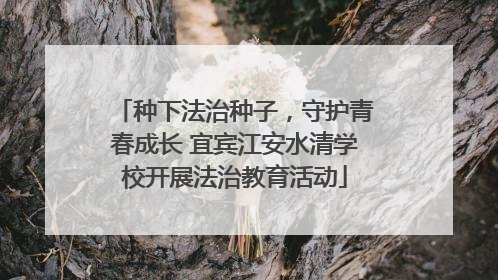 种下法治种子，守护青春成长 宜宾江安水清学校开展法治教育活动