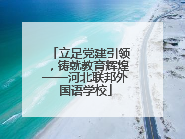 立足党建引领，铸就教育辉煌——河北联邦外国语学校