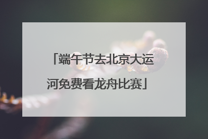 端午节去北京大运河免费看龙舟比赛