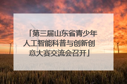 第三届山东省青少年人工智能科普与创新创意大赛交流会召开
