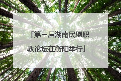 第三届湖南民盟职教论坛在衡阳举行