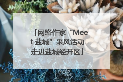 网络作家“Meet 盐城”采风活动走进盐城经开区