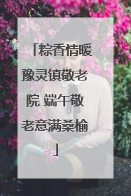 粽香情暖豫灵镇敬老院 端午敬老意满桑榆