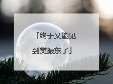 终于又能见到樊振东了