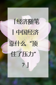 经济随笔丨中国经济靠什么“顶住了压力”？