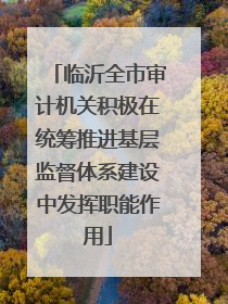 临沂全市审计机关积极在统筹推进基层监督体系建设中发挥职能作用