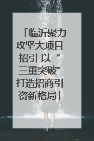 临沂聚力攻坚大项目招引 以“三重突破”打造招商引资新格局