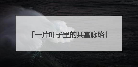 一片叶子里的共富脉络
