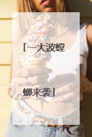 一大波螳螂来袭