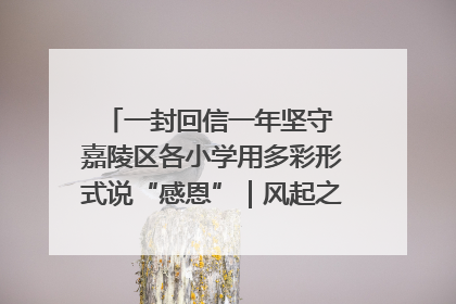 一封回信一年坚守 嘉陵区各小学用多彩形式说“感恩”｜风起之江 扶摇直上
