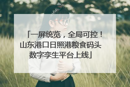 一屏统览，全局可控！山东港口日照港粮食码头数字孪生平台上线