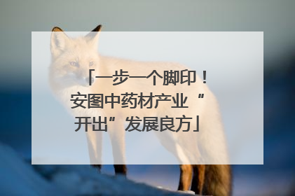一步一个脚印！安图中药材产业“开出”发展良方