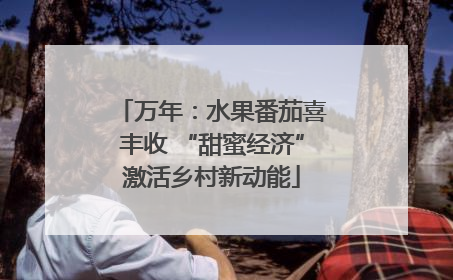 万年：水果番茄喜丰收 “甜蜜经济”激活乡村新动能