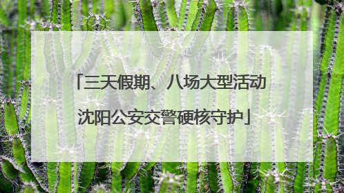 三天假期、八场大型活动 沈阳公安交警硬核守护