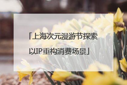 上海次元漫游节探索以IP重构消费场景