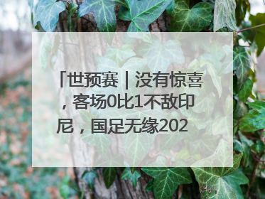 世预赛｜没有惊喜，客场0比1不敌印尼，国足无缘2026年世界杯