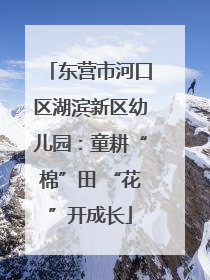 东营市河口区湖滨新区幼儿园：童耕“棉”田 “花”开成长
