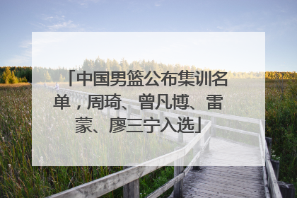 中国男篮公布集训名单，周琦、曾凡博、雷蒙、廖三宁入选