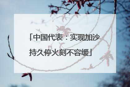 中国代表：实现加沙持久停火刻不容缓