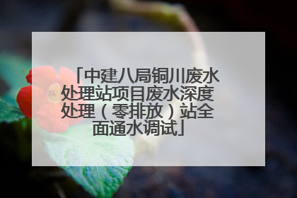 中建八局铜川废水处理站项目废水深度处理（零排放）站全面通水调试