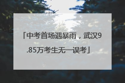 中考首场遇暴雨，武汉9.85万考生无一误考