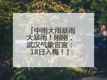 中雨大雨暴雨大暴雨！刚刚，武汉气象官宣：18日入梅！