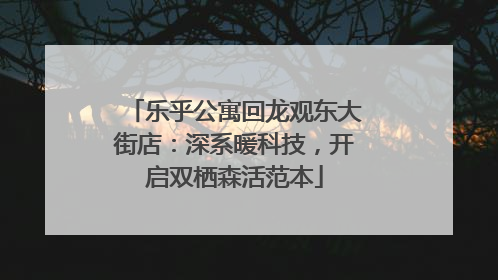 乐乎公寓回龙观东大街店：深系暖科技，开启双栖森活范本