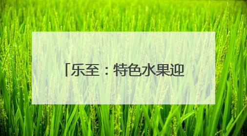 乐至：特色水果迎丰收 采摘正当时