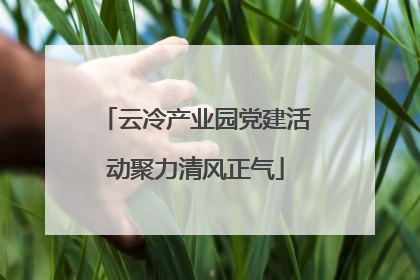 云冷产业园党建活动聚力清风正气