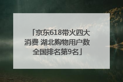 京东618带火四大消费 湖北购物用户数全国排名第9名