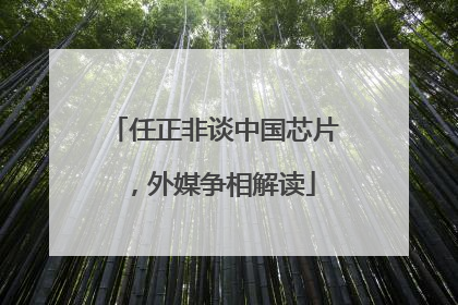 任正非谈中国芯片，外媒争相解读