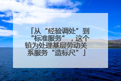 从“经验调处”到“标准服务”，这个镇为处理基层劳动关系服务“造标尺”