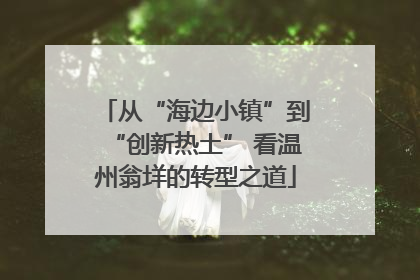 从“海边小镇”到“创新热土” 看温州翁垟的转型之道