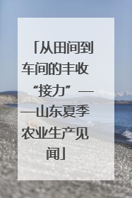 从田间到车间的丰收“接力”——山东夏季农业生产见闻