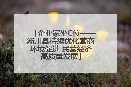 企业家坐C位——淅川县持续优化营商环境促进 民营经济高质量发展