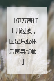 伊万离任土帅过渡，国足东亚杯后再寻新帅