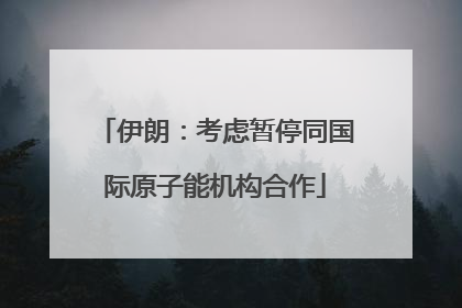 伊朗：考虑暂停同国际原子能机构合作