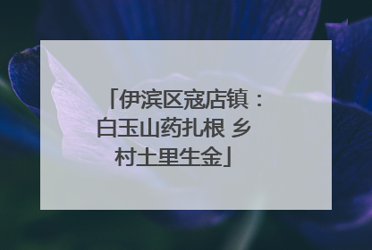 伊滨区寇店镇：白玉山药扎根 乡村土里生金