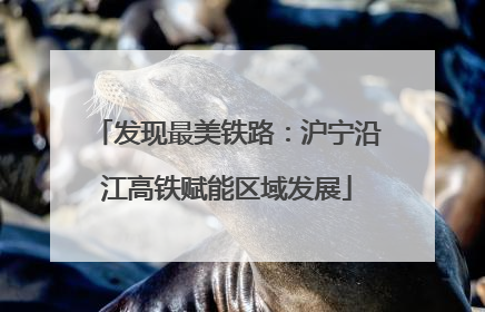 发现最美铁路：沪宁沿江高铁赋能区域发展