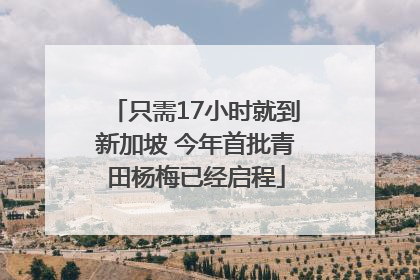 只需17小时就到新加坡 今年首批青田杨梅已经启程