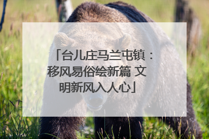 台儿庄马兰屯镇：移风易俗绘新篇 文明新风入人心