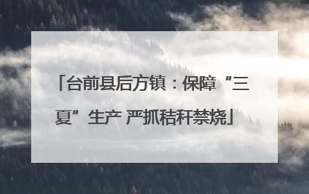 台前县后方镇：保障“三夏”生产 严抓秸秆禁烧