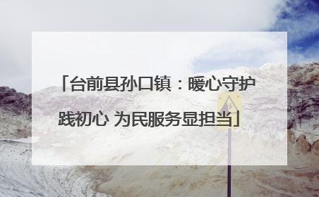 台前县孙口镇：暖心守护践初心 为民服务显担当