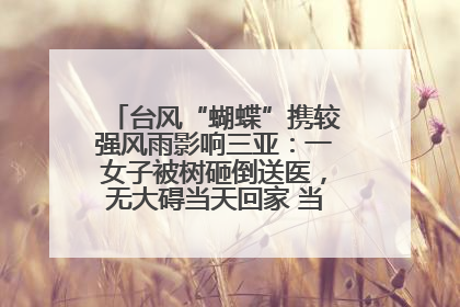 台风“蝴蝶”携较强风雨影响三亚：一女子被树砸倒送医，无大碍当天回家 当地已紧急清障