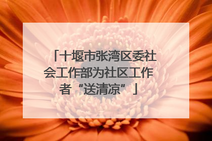 十堰市张湾区委社会工作部为社区工作者“送清凉”