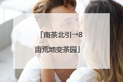 南茶北引→8亩荒地变茶园