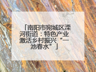 南阳市宛城区溧河街道：特色产业激活乡村振兴“一池春水”